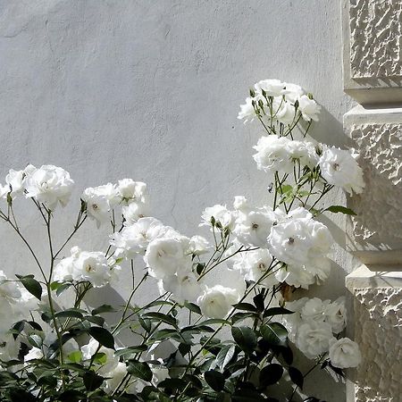 Villa Barberina Valdobbiadene Exteriér fotografie